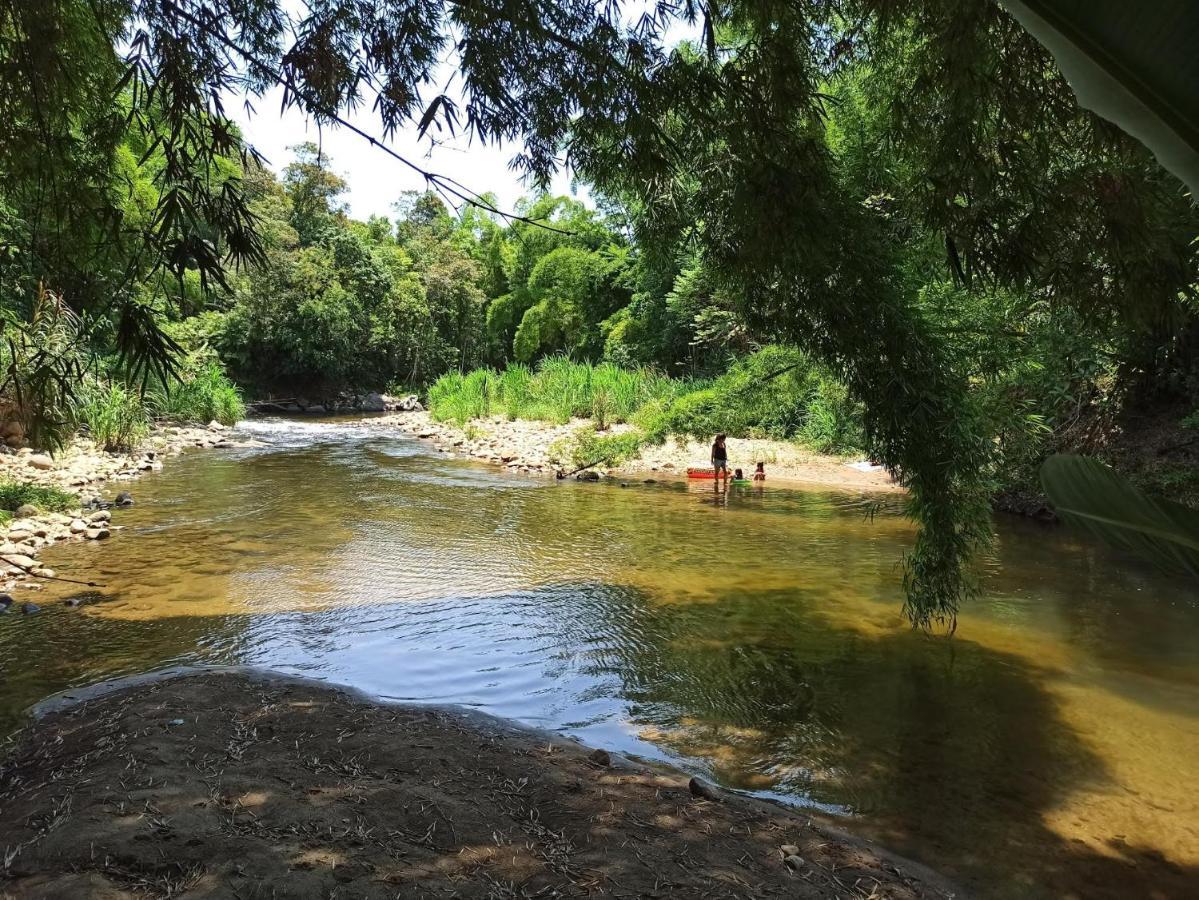 Ecoisa De Chacara - Casa De Vidro, Casa De Campo Morretes Esterno foto
