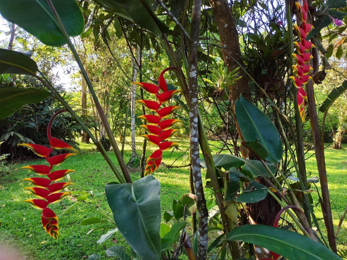 Ecoisa De Chacara - Casa De Vidro, Casa De Campo Morretes Esterno foto