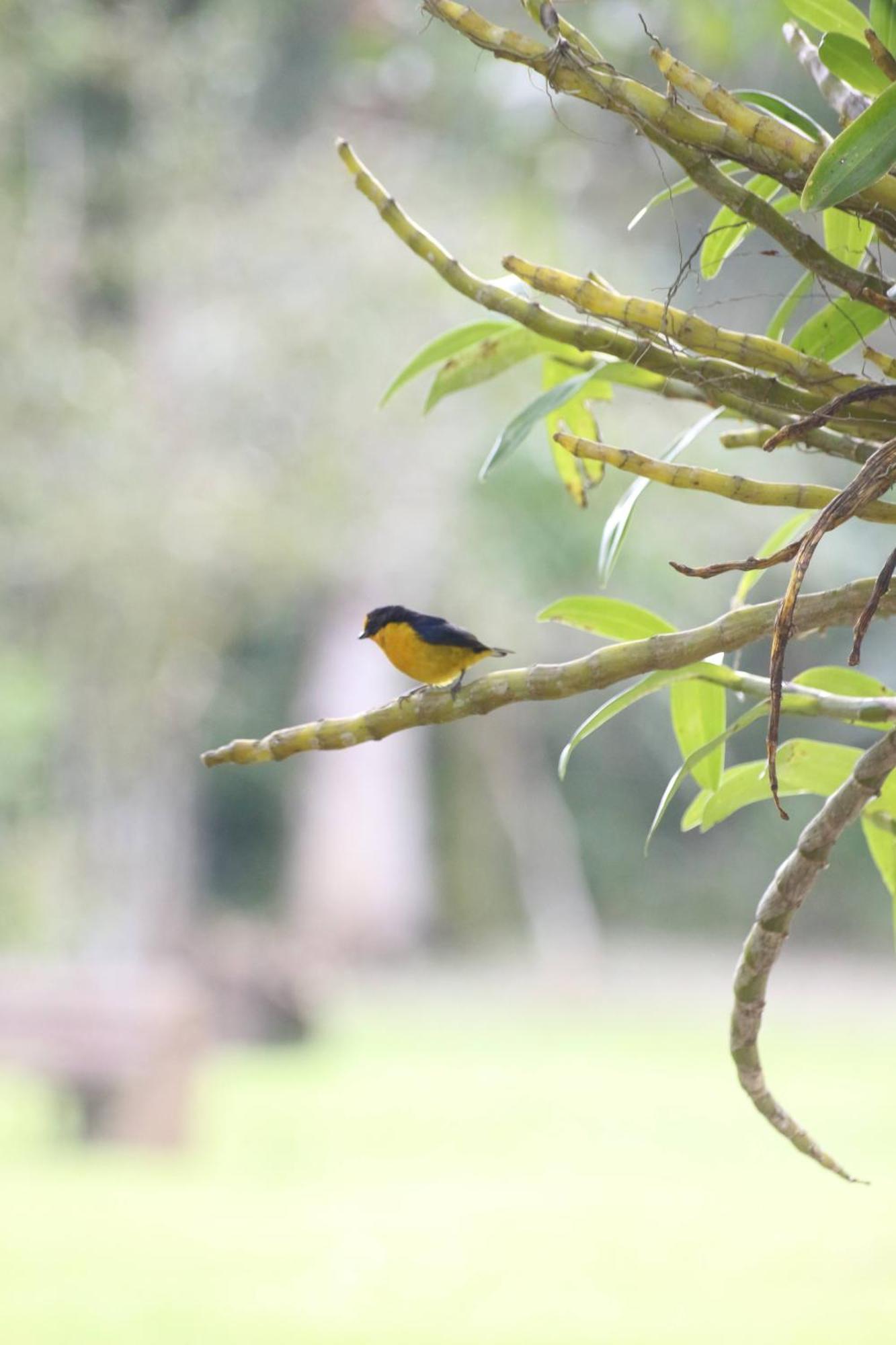 Ecoisa De Chacara - Casa De Vidro, Casa De Campo Morretes Esterno foto
