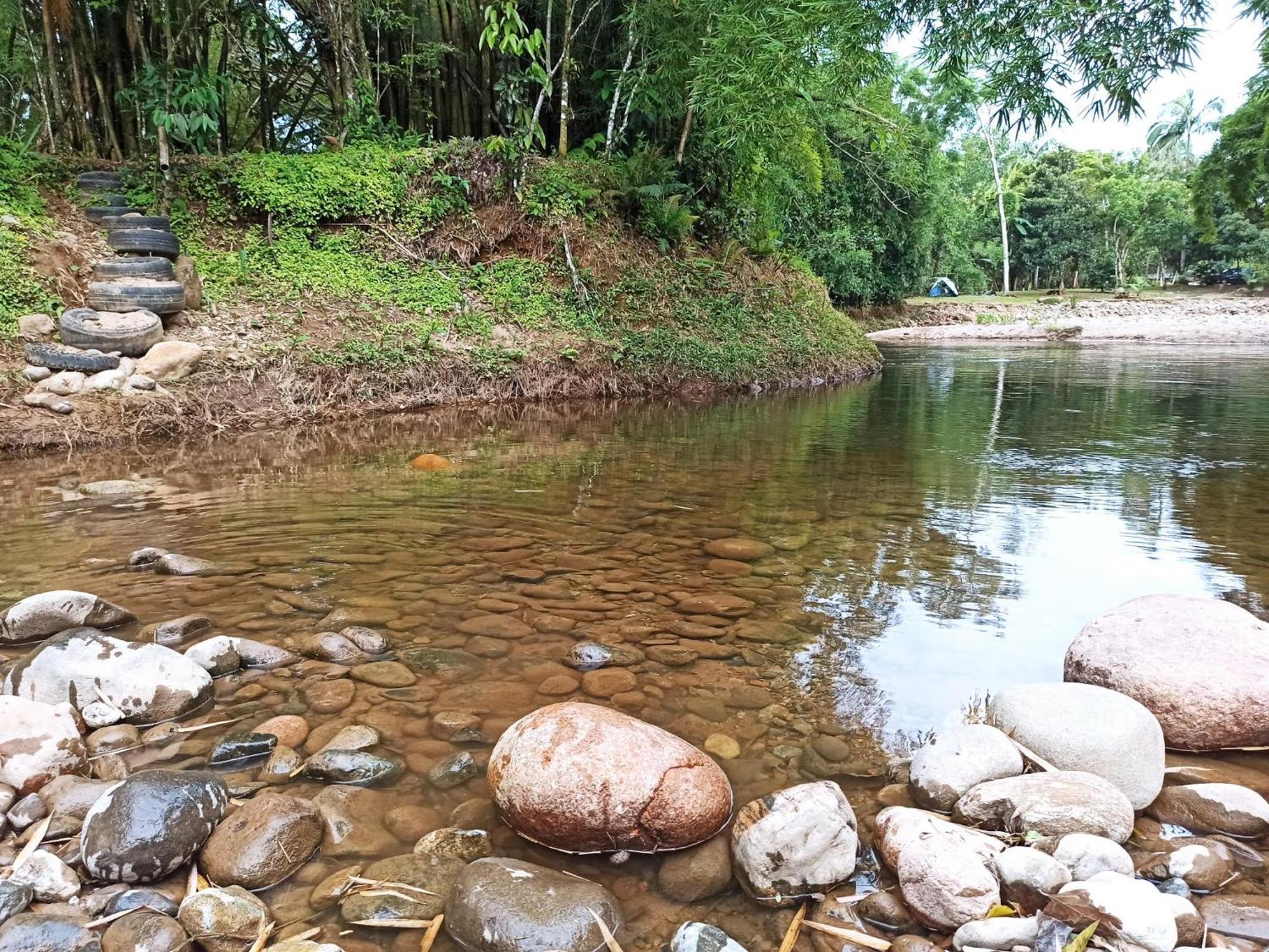 Ecoisa De Chacara - Casa De Vidro, Casa De Campo Morretes Esterno foto