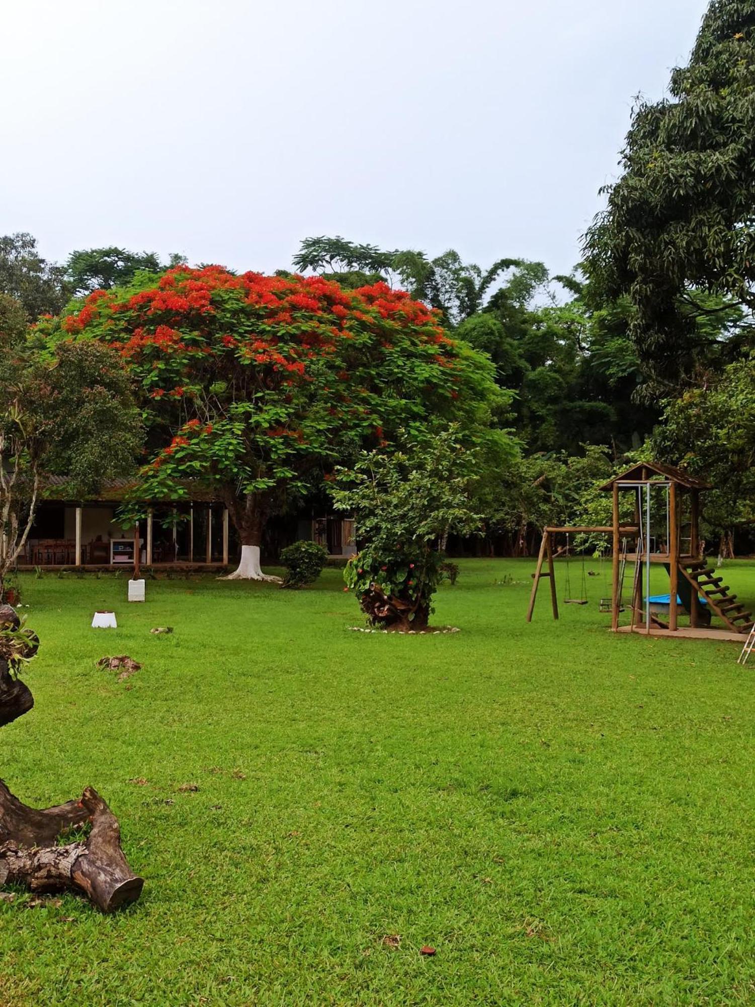 Ecoisa De Chacara - Casa De Vidro, Casa De Campo Morretes Esterno foto